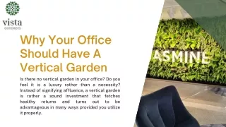 Why Your Office Should Have A Vertical Garden