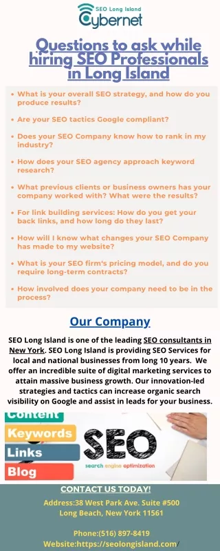 questions to ask while hiring seo professionals