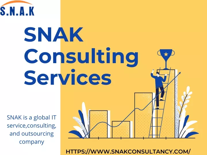 snak consulting services