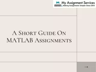a short guide on matlab assignments