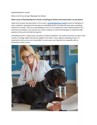 dog bleeding from mouth