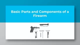 Basic Parts and Components of a Firearm