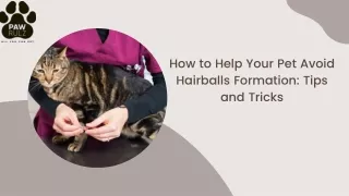 How to Help Your Pet   Avoid  Hairballs Formation