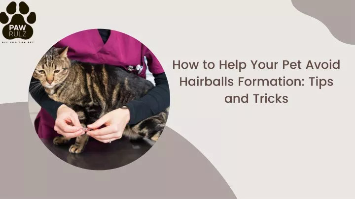 how to help your pet avoid hairballs formation tips and tricks