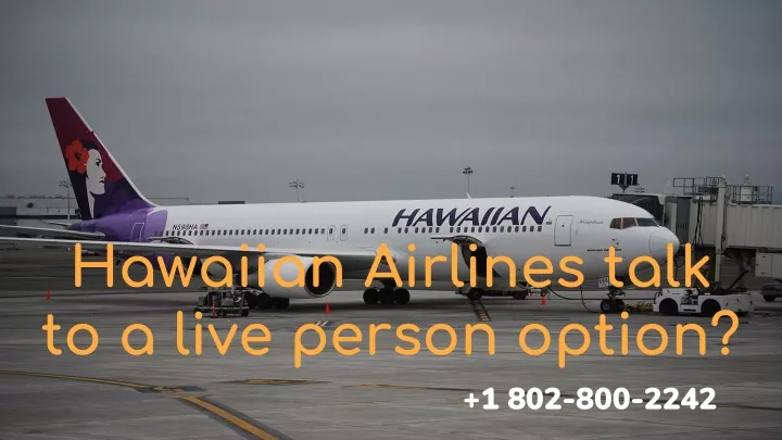 hawaiian airlines talk to a live person option