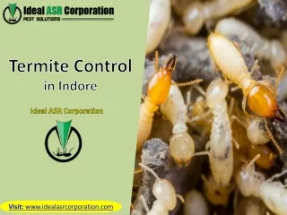 termite control in indore