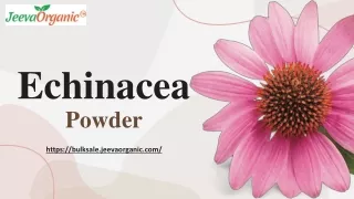 Echinacea Powder