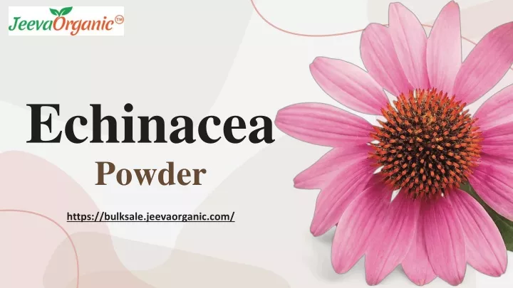 echinacea powder