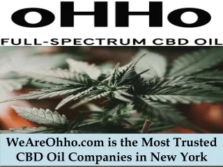 WeAreOhho.com is the Most Trusted CBD Oil Companies in New York