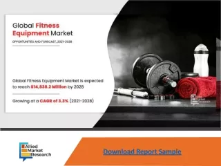 download report sample