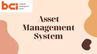 asset