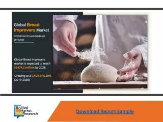 download report sample