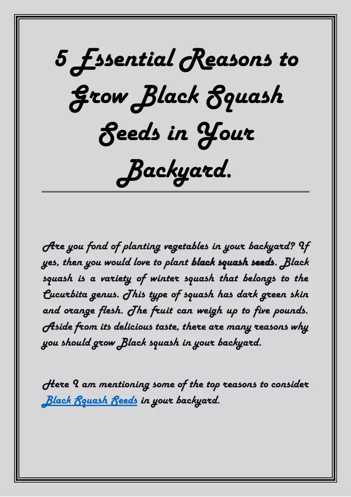 5 essential reasons to grow black squash seeds