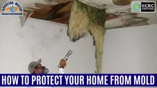 How to Protect Your Home From Mold