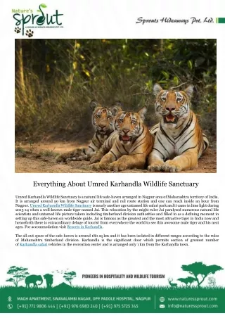 Everything About Umred Karhandla Wildlife Sanctuary