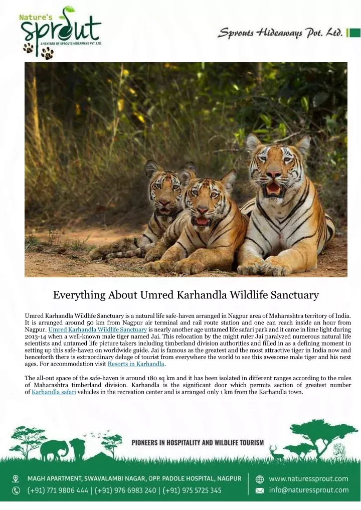 everything about umred karhandla wildlife