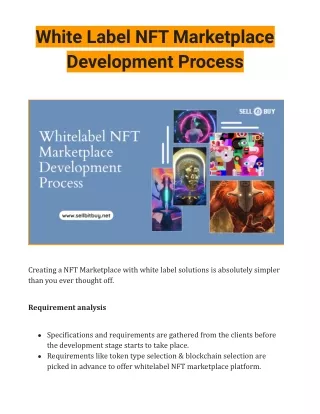 White Label NFT Marketplace Development Process