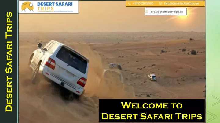 desert safari trips