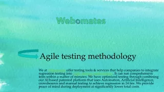 agile testing methodology