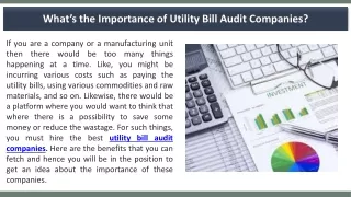 What’s the Importance of Utility Bill Audit Companies