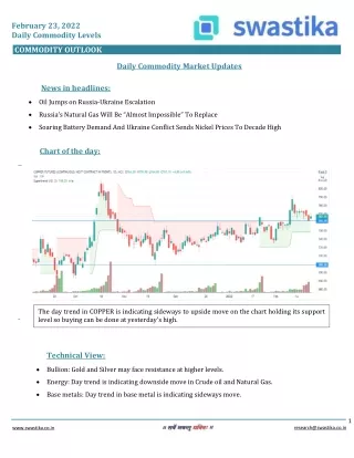 february 23 2022 daily commodity levels