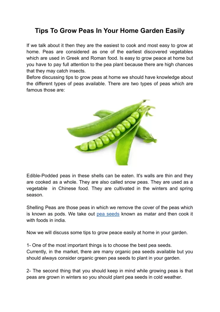tips to grow peas in your home garden easily