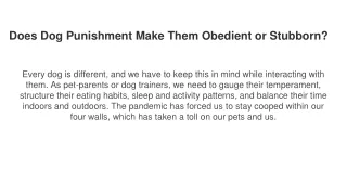 Does Dog Punishment Make Them Obedient or Stubborn_ -Bangalore