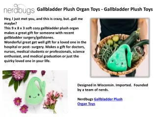 Gallbladder Plush Organ Toys - Gallbladder Organ Toys & Nerdbugs Plush Toy Organs