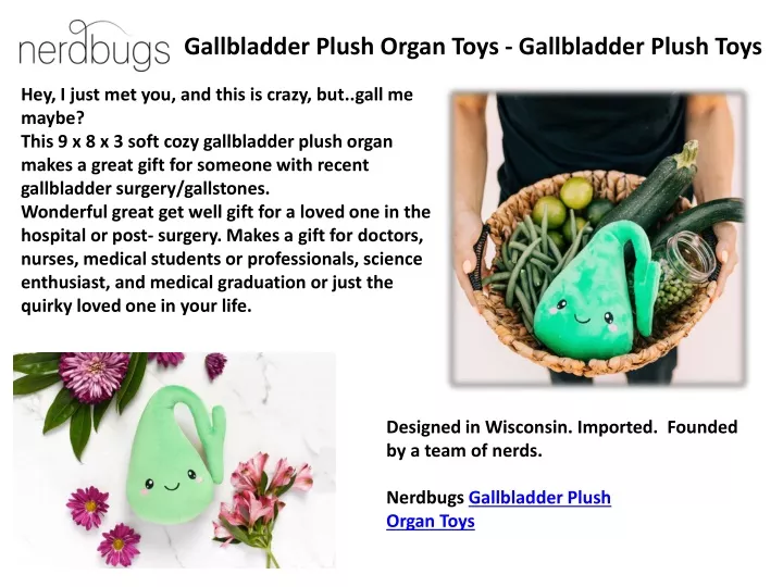 gallbladder plush organ toys gallbladder plush