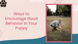 Ways to Encourage Good Behavior in Your Puppy