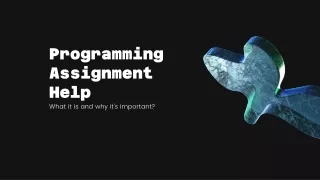 programming assignment help
