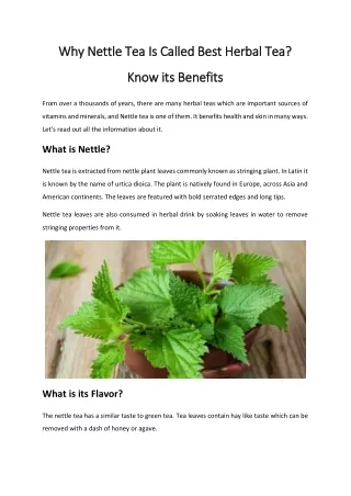 Why Nettle Tea Is Called Best Herbal Tea Know its Benefits
