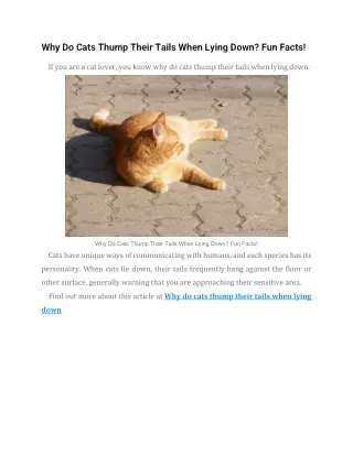 why do cats thump their tails when lying down