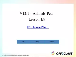 v12 1 animals pets lesson 1 9 esl lesson plan