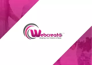 Company Profile