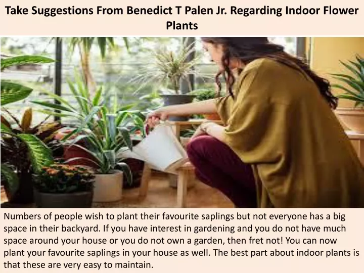 take suggestions from benedict t palen jr regarding indoor flower plants