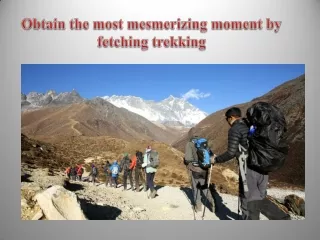 Obtain the most mesmerizing moment by fetching trekking