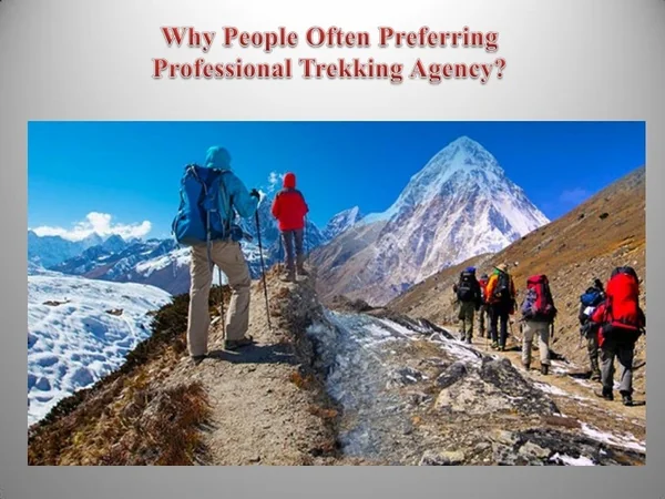 Why People Often Preferring Professional Trekking Agency