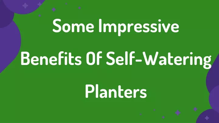 some impressive benefits of self watering planters