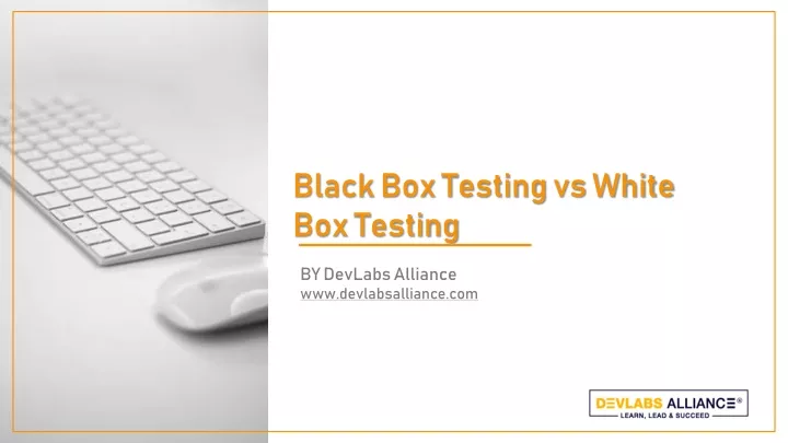 black box testing vs white box testing