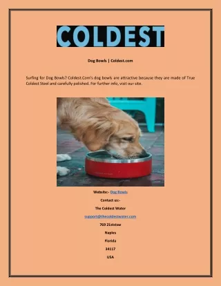 dog bowls coldest com