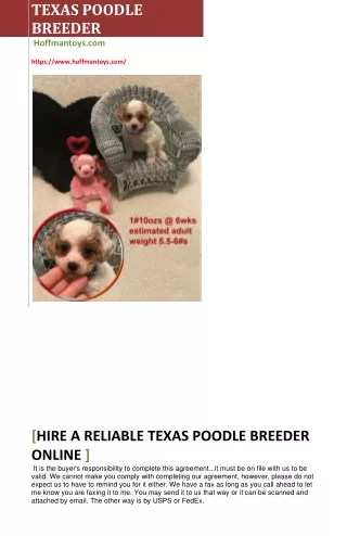 Hire a reliable Texas c breeder online - Hoffmantoys