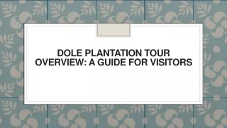 dole plantation tour overview a guide for visitors