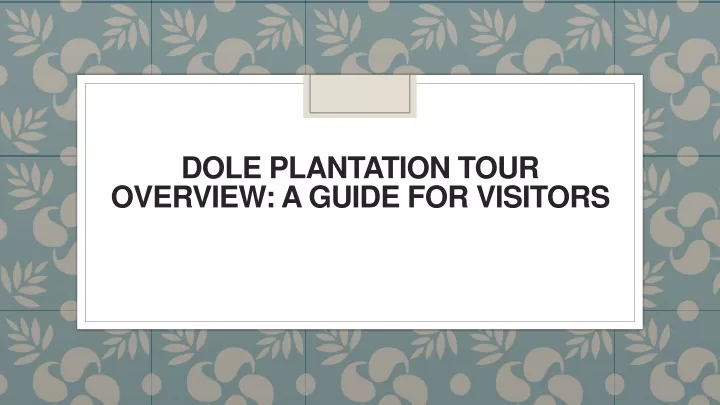 dole plantation tour overview a guide for visitors