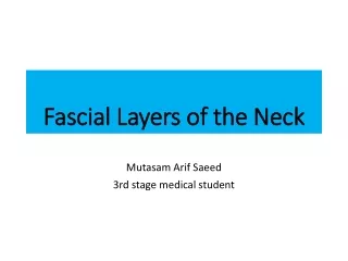Fascial Layers of the Neck