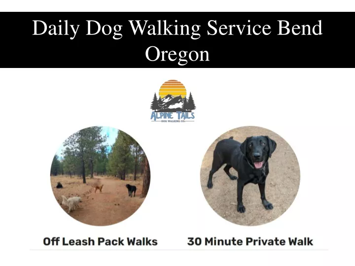 daily dog walking service bend oregon