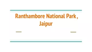 Ranthambore National Park , Jaipur