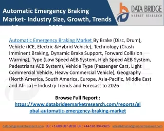 Automatic Emergency Braking Market