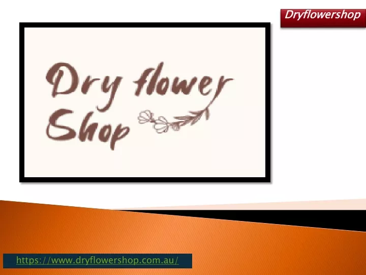 dryflowershop