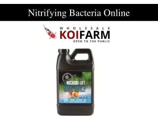 Nitrifying Bacteria Online